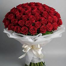 Букет 101 Красная роза Блэк Мэджик в Потьме
