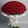 Букет 101 Красная роза Блэк Мэджик в Потьме