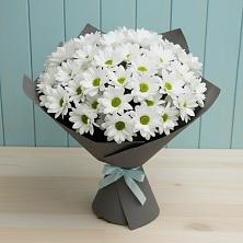 Букет цветов из:  Хризантемы в Потьме