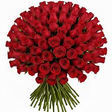 Букет Красные розы Чери Лав в Потьме