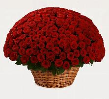 Премиум букет из: Розы #REPLACE_PRED# Потьме