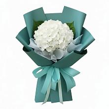 Букет цветов из:  Гортензия #REPLACE_PRED# Потьме